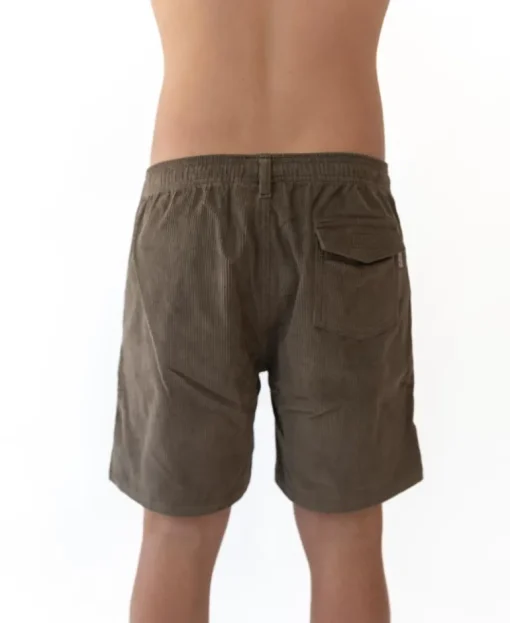 Floyd Elastic Waist Walkshort | Wash brown