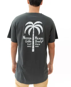 Noosa Palm Loco | Wash Black