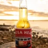 Noosa Stubby Kombi | Wash Red